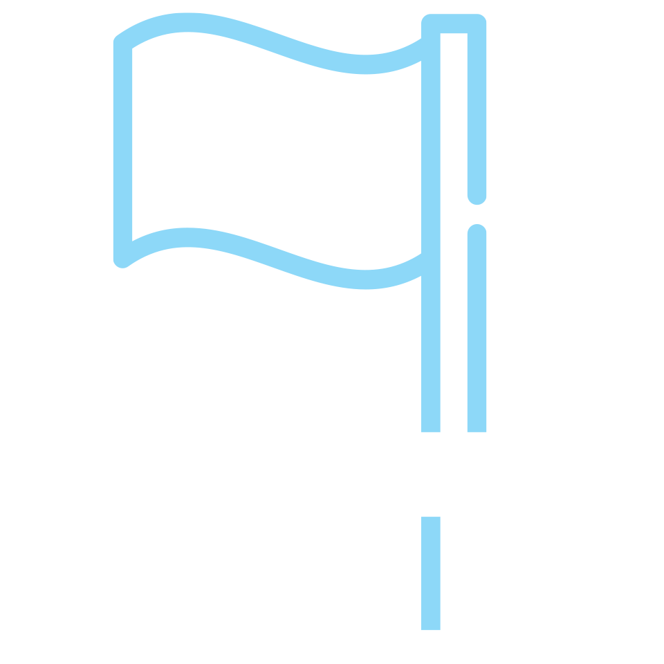 lead a project